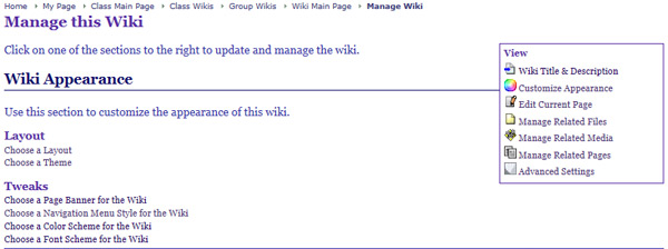 Customizing the Wiki Appearance
