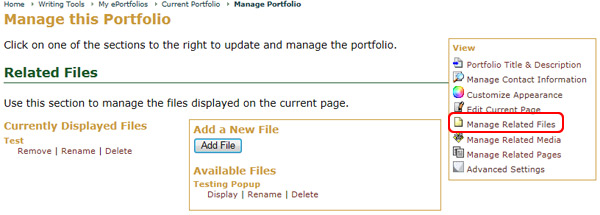 The Related Files Tab