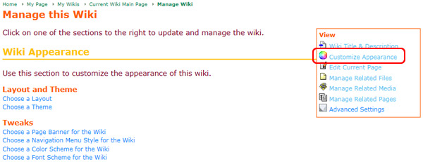 The Wiki Appearance Tab