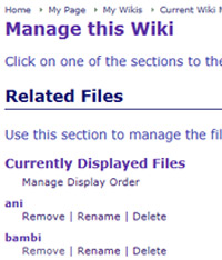 File Options